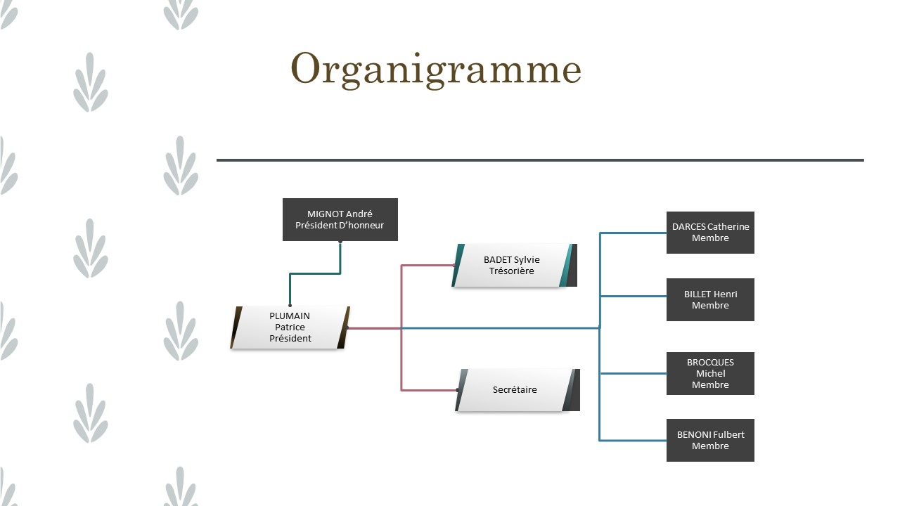 CDC93 organigramme 2021